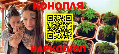 прущие крисы Кандалакша