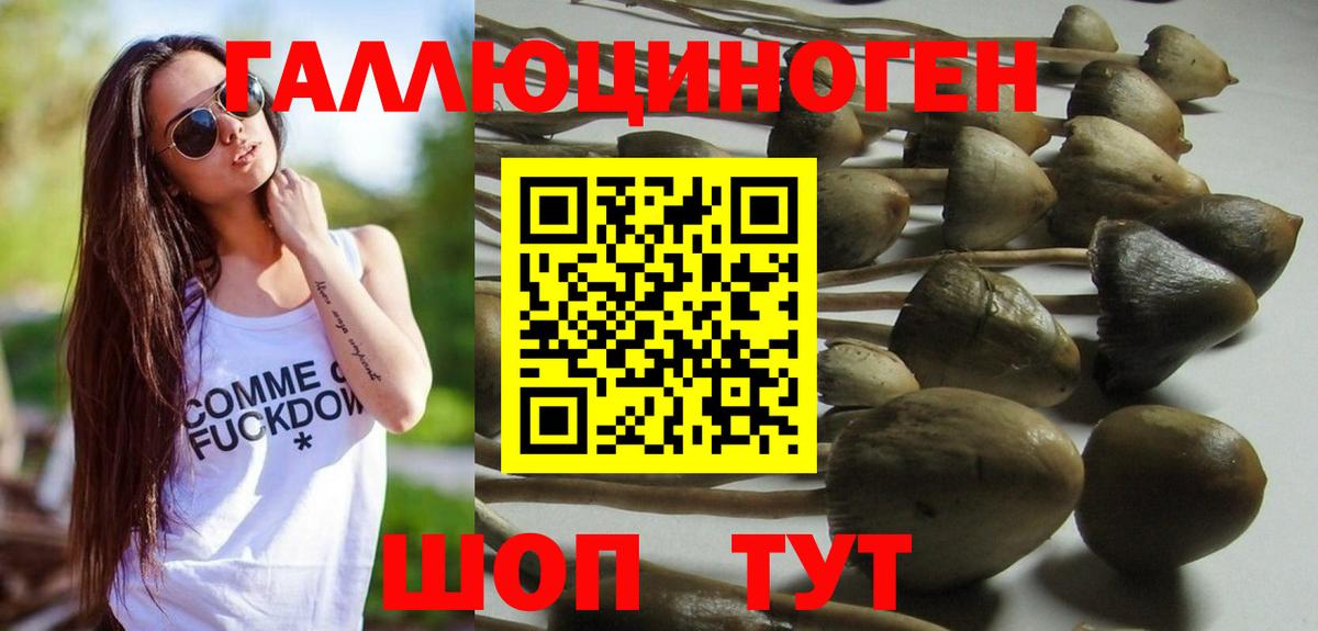 Каспийск  Псилоцибиновые грибы Magic Shrooms  Вход с VPN 